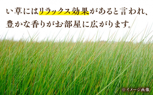 畳屋さんが作った！い草の上敷き (2枚) 面ファスナー付き (おむらんちゃん縁) / 畳 おしゃれ畳 新生活 一人暮らし / 大村市 / 株式会社勝手[ACZJ002]