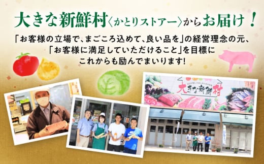 【12回定期便】長崎和牛プルコギ切り落とし1.5kg 500g×3パック 冷凍真空パック / 牛肉 プルコギ 味付け済み 小分け 真空パック / 大村市 / かとりストアー [ACAN098]