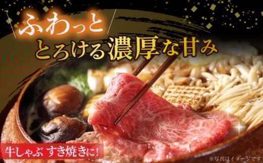 リブロース サーロイン 500g 希少部位 長崎和牛 A4〜A5ランク / 牛肉 和牛 牛 霜降り 黒毛和牛 / 大村市 / 肉のふじた[ACAF001]