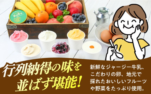 シュシュの季節のジェラート8個セット / アイス あいす アイスクリーム あいすくりーむ ジェラート じぇらーと スイーツ すいーつ / 大村市 / おおむら夢ファームシュシュ[ACAA010]