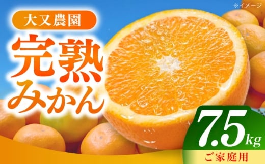 【先行予約・11月以降発送】みかん 7.5kg 詰合せ 長崎県産 /柑橘 みかん 蜜柑/大村市 大又農園 [ACZO007]