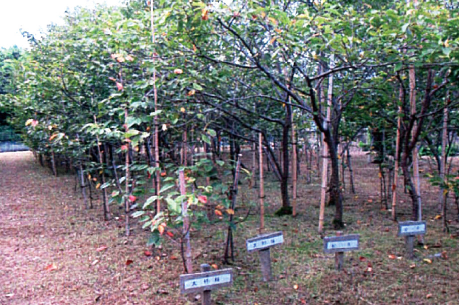 環境の保全及び都市景観の形成に関する事業