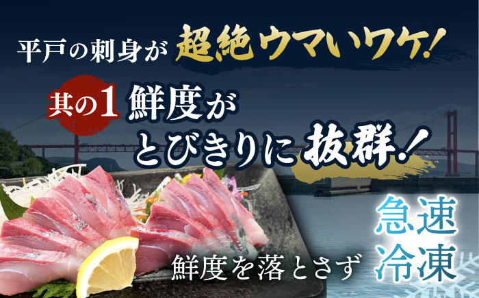 ＜10月発送＞【お好みの厚さで！】平戸の新鮮な魚 刺身用 ブロック 3種 約800g 詰め合わせ【百旬館】[KAK018]/ 長崎 平戸 真空パック 刺身用ブロック  刺身 お刺身 鯛刺身 ブリ刺身 ヒラス刺身