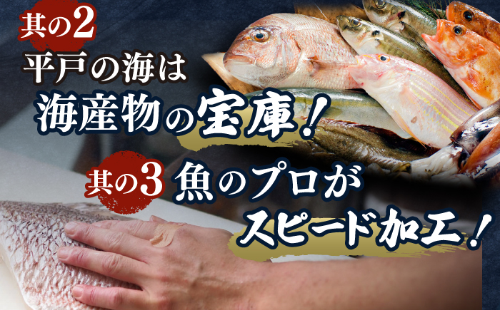 ＜2月発送＞刺身 3人前 約450g 詰め合わせ【百旬館】[KAK020]/ 長崎 平戸 魚介類 魚 刺身 ブロック ヒラス ひらす ブリ ぶり 鯛 タイ たい 急速冷凍 真空 パック