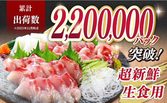 ＜2月発送＞旬魚のお刺身セット約300g (100g×3p)【株式会社ひらど新鮮市場】[KAB008]/ 長崎 平戸 魚介類 魚 刺身 ブリ刺身 タイ刺身 ヒラス刺身 アオリイカ刺身 ヤリイカ刺身 イカ刺身 タコ刺身 小分け