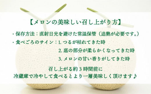 【先行予約】【8月発送】平戸市産 ネット メロン ソナタ【株式会社ひらど新鮮市場】[KAB097]