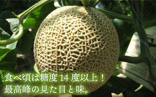 【先行予約】【8月発送】平戸市産 ネット メロン ソナタ【株式会社ひらど新鮮市場】[KAB097]