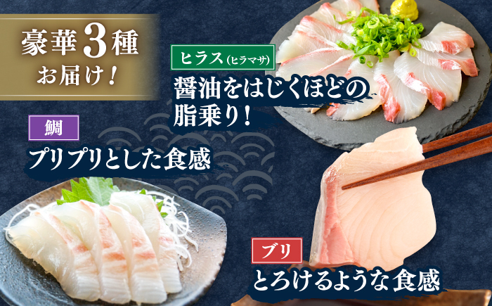 ＜2月発送＞刺身 3人前 約450g 詰め合わせ【百旬館】[KAK020]/ 長崎 平戸 魚介類 魚 刺身 ブロック ヒラス ひらす ブリ ぶり 鯛 タイ たい 急速冷凍 真空 パック