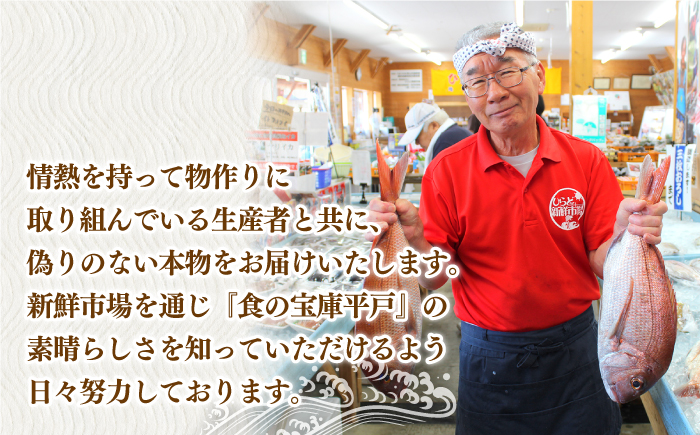 ＜2月発送＞旬魚のお刺身セット約300g (100g×3p)【株式会社ひらど新鮮市場】[KAB008]/ 長崎 平戸 魚介類 魚 刺身 ブリ刺身 タイ刺身 ヒラス刺身 アオリイカ刺身 ヤリイカ刺身 イカ刺身 タコ刺身 小分け