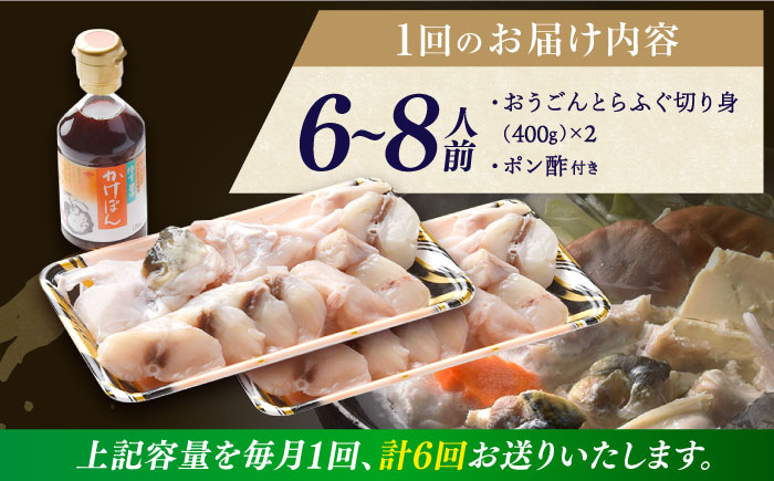 【全6回定期便】【着日指定 可能】活〆おうごんとらふぐ 満腹 鍋セット 平戸市 / 松永水産 [KAB283]