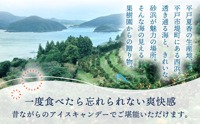 平戸夏香のアイスキャンデー10本詰合せ【ハレルヤ合同会社】[KAB096]/ 長崎 平戸 菓子 アイス 柑橘 夏香 贈物 贈答 プレゼント