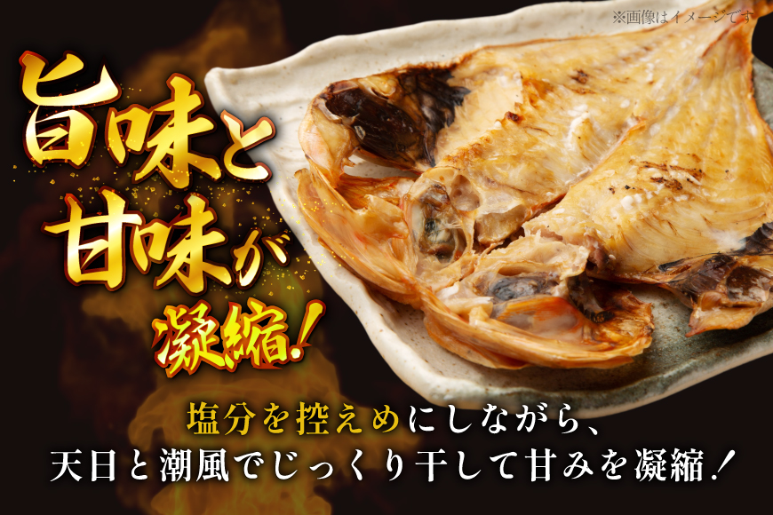 おつまみ イカ 旬魚 平戸 干物 16種 詰め合せ [森崎水産 長崎県 平戸市 hr42bgy410180] いか セット 詰合せ 干物 干物セット 一夜干し いかめし 冷凍 国産 ひもの 魚