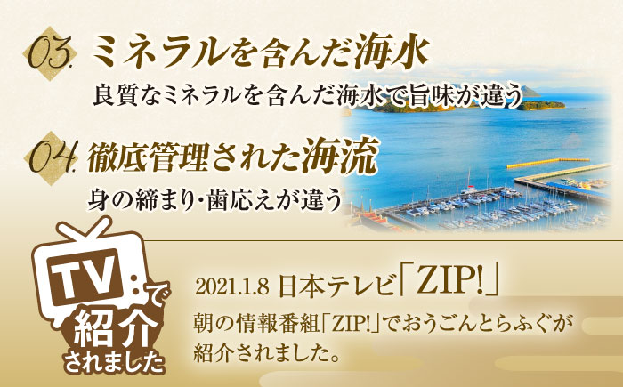 【全12回定期便】【着日指定 可能】活〆おうごんとらふぐ 鍋 セット 約400g 平戸市 / 松永水産 [KAB272]