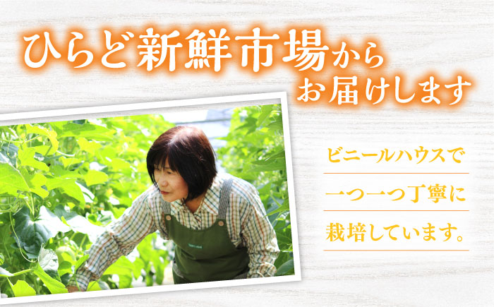 【先行予約】最高糖度15度で甘味たっぷり平戸産メロンイエローキング合計5kg前後3〜9玉【株式会社ひらど新鮮市場】[KAB200]