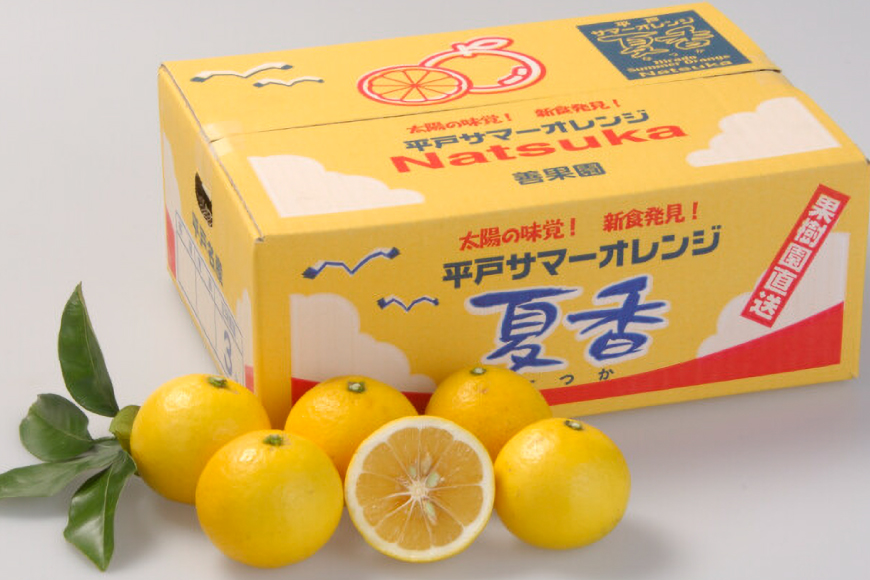 果物 オレンジ 平戸 夏香 3kg (16〜25個) 2L 〜 M サイズ [善果園 長崎県 平戸市 hr42bgy420155] みかん ミカン くだもの 柑橘 フルーツ