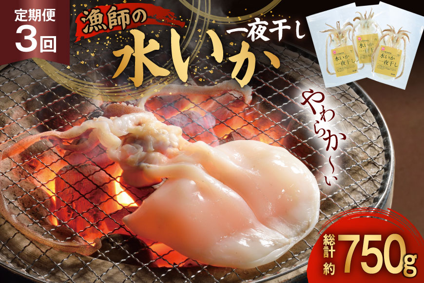 いか 一夜干し 干物  漁師の水烏賊一夜干し 2〜3枚 約250g 3回 定期便 総計750g [中野漁業 長崎県 平戸市 hr42bgy400077] イカ 乾物 水いか 冷凍