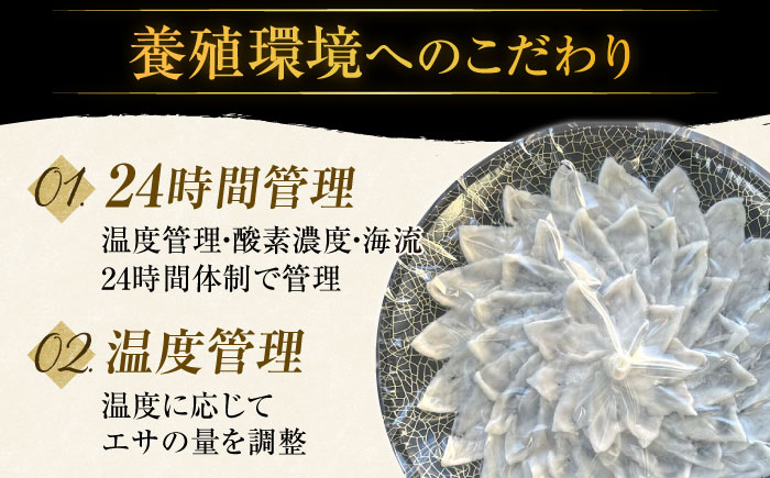 【全3回定期便】【着日指定 可能】活〆おうごんとらふぐ 満腹 鍋セット 平戸市 / 松永水産 [KAB282]