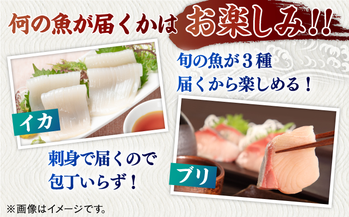 ＜12月発送＞旬魚のお刺身セット約300g (100g×3p)【株式会社ひらど新鮮市場】[KAB008]/ 長崎 平戸 刺身 ブリ刺身 鯛刺身 ヒラス刺身 イカ刺身 タコ刺身 