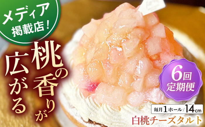 【全6回定期便】 白桃チーズタルト1ホール(14cm)【心優　−Cotoyu Sweets−】 [KAA528]