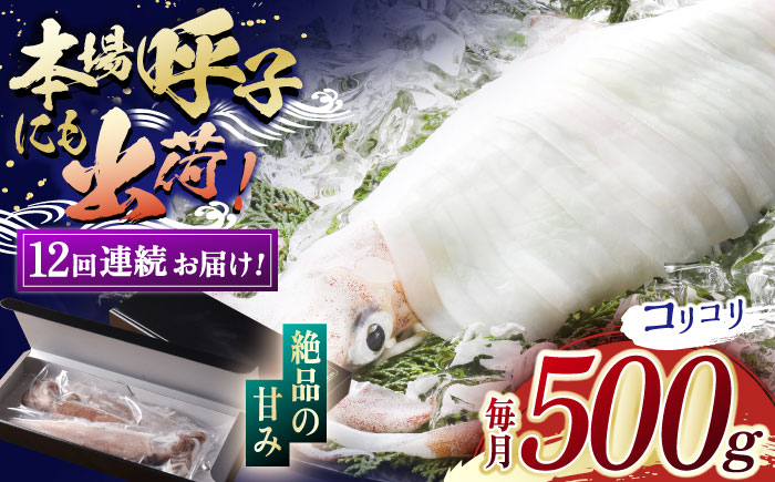 【12回定期便】極鮮ヤリイカ 約500g【海隆丸】[KAB180]/ 長崎 平戸 魚介類 イカ いか ヤリイカ 真空パック 小分け 贈物 贈答 プレゼント 定期便