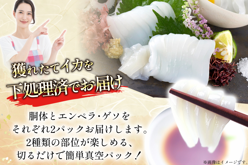 海鮮 魚介 イカ 2種盛り（胴体＋ エンペラ ・ ゲソ ） 6回 定期便 [舘浦漁業 長崎県 平戸市 hr42bgy420383] おつまみ 新鮮 刺身 下足 セット 盛り合わせ 瞬間冷凍 冷凍 コリコリ 直送 冷凍 個包装 真空パック