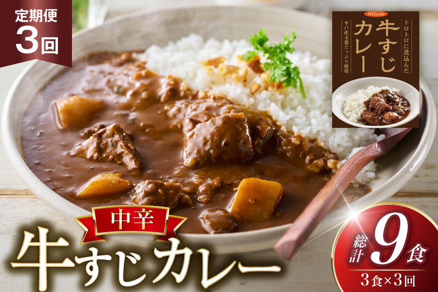 牛すじ カレー 3食 セット 中辛 3回 定期便 [カレー工房NVfoods 長崎県 平戸市 hr42bgy400229] スパイス レトルト レトルトカレー