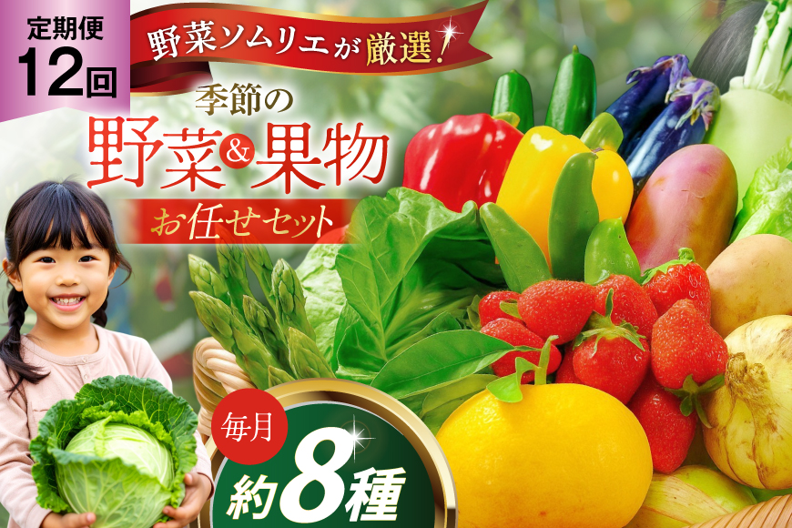 野菜 果物 セット 安心の地元野菜と果物のお任せセット 定期便 12回 [ひらど新鮮市場 長崎県 平戸市 hr42bgy400146] フルーツ 定期 12ヶ月 野菜セット 果物セット キャベツ、アスパラガス 胡瓜 ナス 大根 かぶ ミニトマト 玉ねぎ いちご メロン ミニトマト 白菜 れんこん みかん