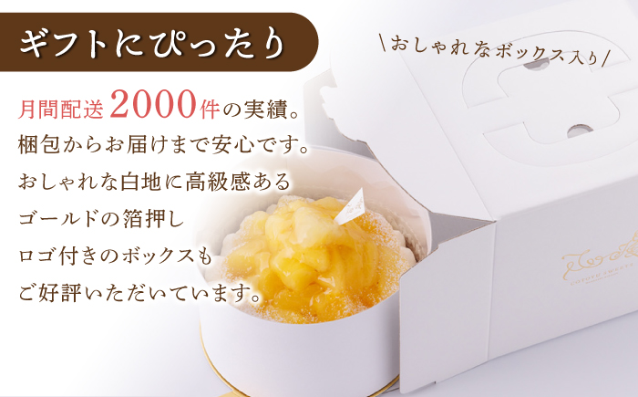 パイナップルチーズタルト1ホール(14cm)【心優　-Cotoyu Sweets-】[KAA391]