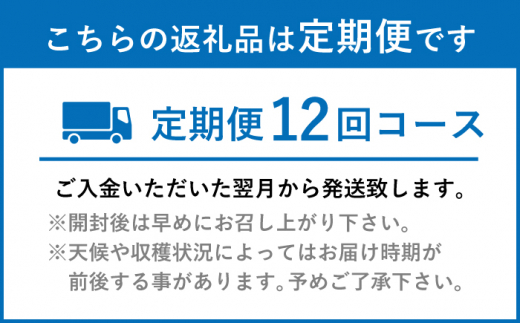 【12回定期便】お弁当おかず3種4個セット【百旬館】[KAK049]/ 長崎 平戸 加工品 惣菜 イカ いか 団子 コロッケ ぶり ブリ 弁当 おつまみ 時短 一人暮らし 定期便