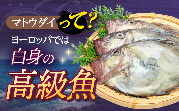 【全3回定期便】マトウダイのフライ 約500g (約250g×2p) 【 ひばり 】 [KAA491]