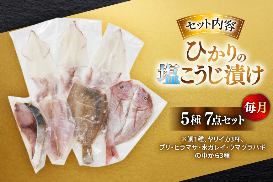 漬け魚 漬魚 塩麹 塩こうじ 魚介 詰め合わせ 6回 定期便 ひかりの塩麹 5種 セット [ひかり 長崎県 平戸市 hr42bgy420393] お茶漬け 焼き魚 焼魚 鯛 鯛めし ヤリイカ 海鮮 漬け づけ 漬け丼 鮮魚 お取り寄せ ギフト 魚 切り身 冷凍 真空 真空パック 個包装 小分け お取り寄せ
