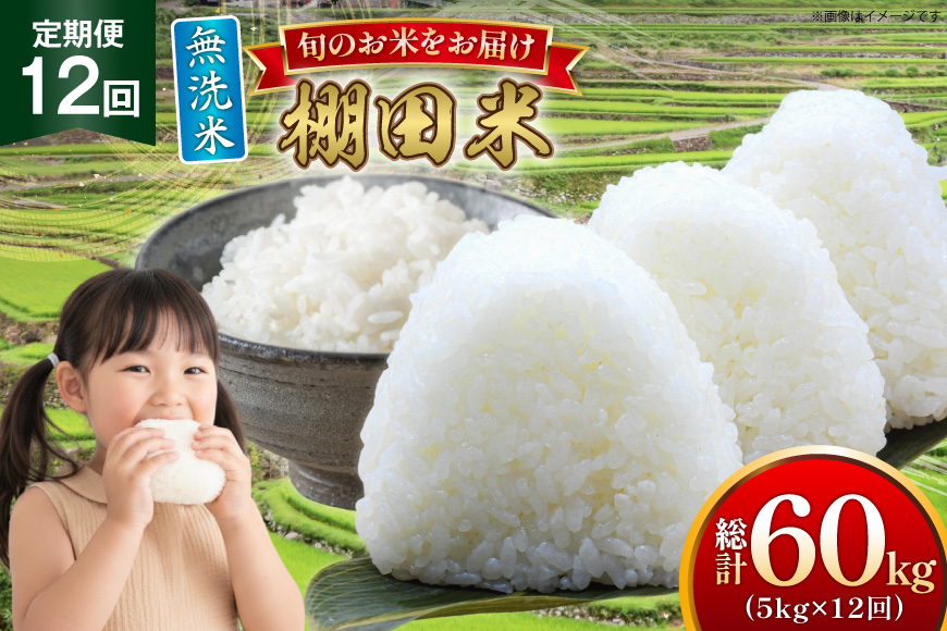 米 令和7年 無洗米 棚田米 5kg 12回 定期便 総計60kg [ひらど新鮮市場 長崎県 平戸市 hr42bgy400195] 令和7年産 コメ こめ ごはん ご飯 白米 精米