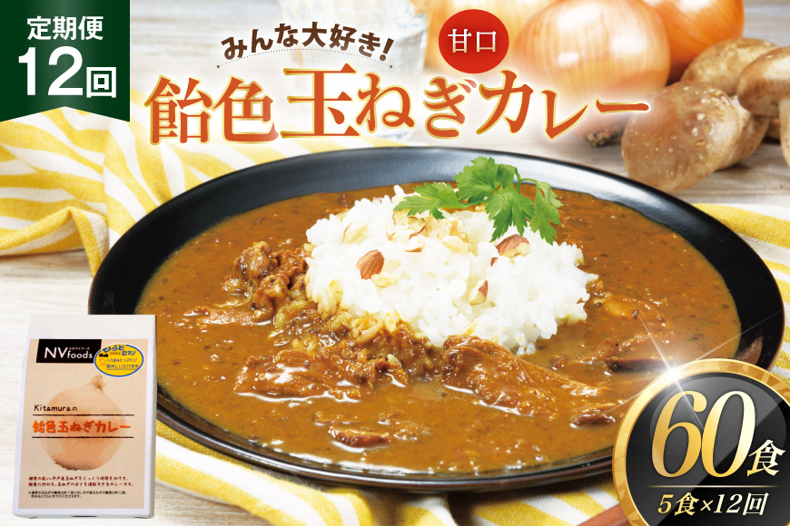カレー セット 玉ねぎ カレー 5食 セット 甘口 12回 定期便 [カレー工房NVfoods 長崎県 平戸市 hr42bgy400066] カレー スパイス レトルト セット