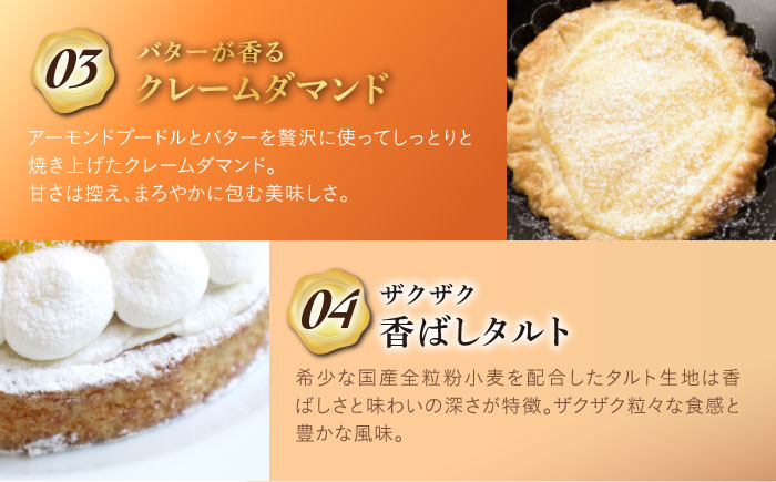 【全3回定期便】完熟マンゴーチーズタルト（18cm）【心優 −Cotoyu Sweets−】 [KAA444]