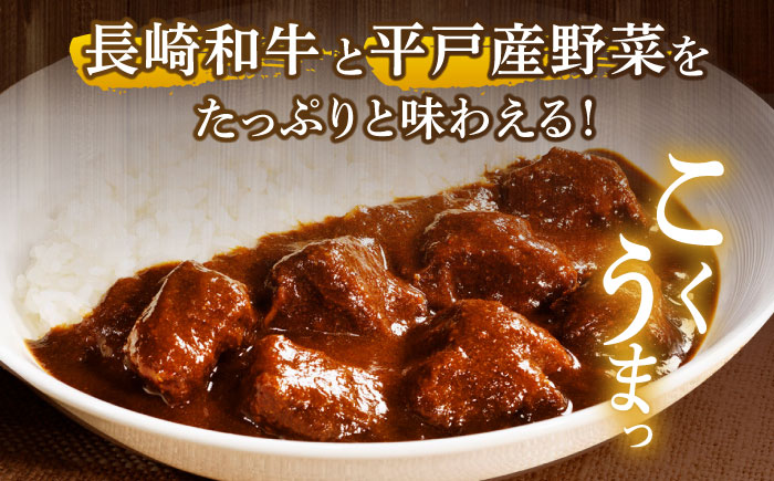 【全3回定期便】【カレー好きの為のアソートセット】カレー工房NVfoodsのカレー5種詰め合わせセット [KAB291]