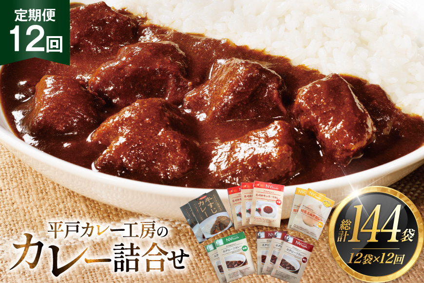 カレー セット 平戸 ビーフ カレー 12食 セット 中辛  12回 定期便 [カレー工房NVfoods 長崎県 平戸市 hr42bgy400056] カレー スパイス レトルト セット 詰め合わせ 食べ比べ