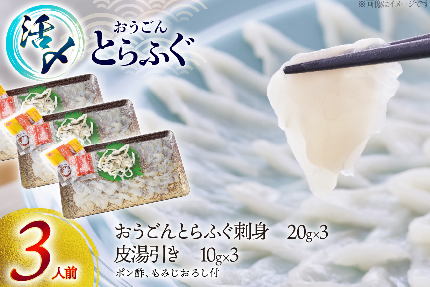 ふぐ 刺身 セット 活〆 おうごんとらふぐ 刺身セット 3人前 [松永水産 長崎県 平戸市 hr42bgy400156] ふぐ刺し とらふぐ フグ 河豚 てっさ 魚介 さかな お刺身 刺身用 さしみ 冷凍 湯引き 海鮮 切り身