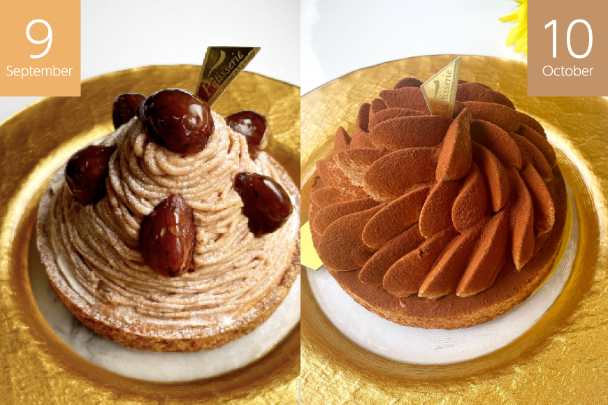 スイーツ 大人のスイーツ 定期便 12回 [心優-Cotoyu Sweets- 長崎県 平戸市 hr42bjo490080] ケーキ タルト 食べ比べ 果物 フルーツ いちご モンブラン ティラミス チョコ ホールケーキ 誕生日