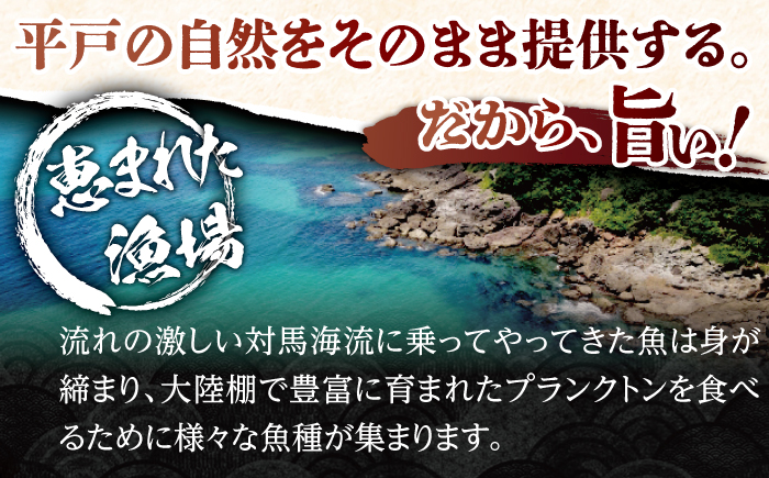 【全3回定期便】旨味を凝縮！ 旬鮮平戸干物 16種詰合せ【森崎水産】 [KAD186]