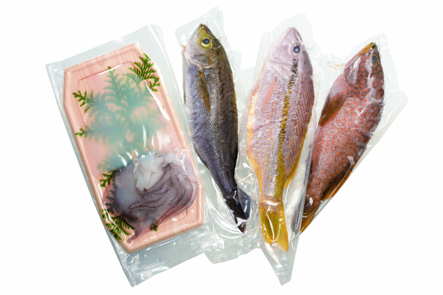 魚 海鮮 地魚 詰合せ4〜5種類 12回 定期便 [ひらど新鮮市場 長崎県 平戸市 hr42bgy400192] さかな 詰め合わせ 鮮魚