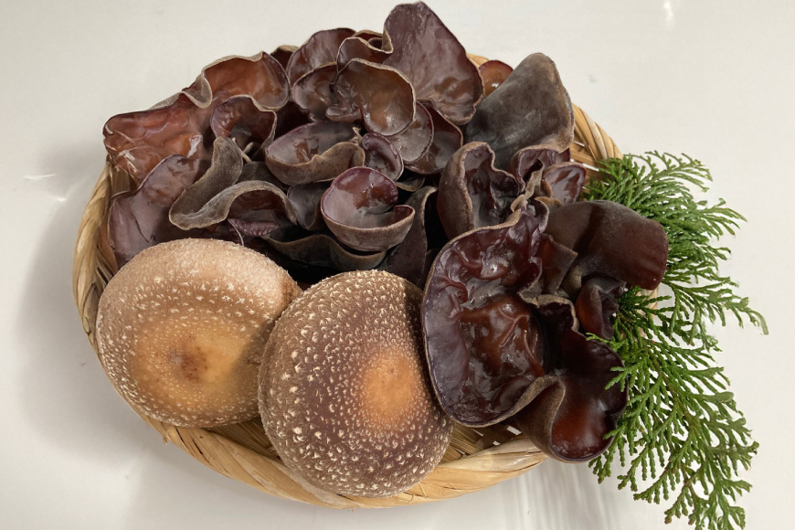 きのこ しいたけ きくらげ 生椎茸 生きくらげ 箱入りセット 12回 定期便 [きのこ屋 長崎県 平戸市 hr42bgy410166] 有機 有機JAS 有機栽培 有機きのこ 有機しいたけ 箱入り ギフト セット