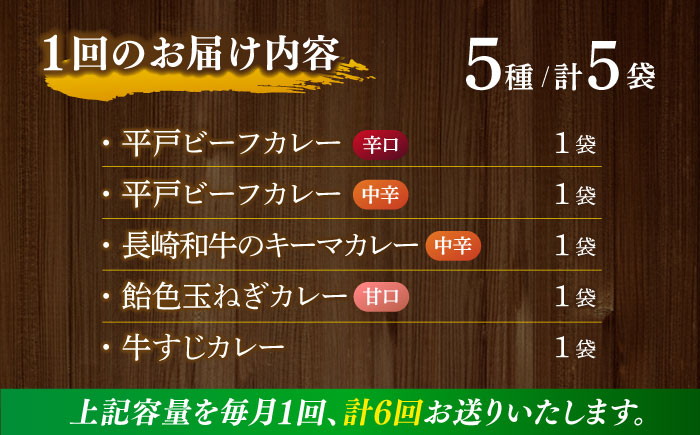 【全6回定期便】【カレー好きの為のアソートセット】カレー工房NVfoodsのカレー5種詰め合わせセット [KAB292]