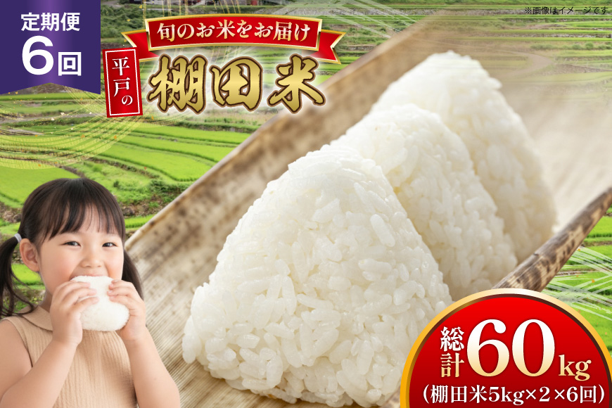 米 令和7年 棚田米 5kg 2袋 計 10kg 6回 定期便  総計60kg [ひらど新鮮市場 長崎県 平戸市 hr42bgy400182] 令和7年産 コメ こめ ごはん ご飯 こしひかり ひのひかり にこまる