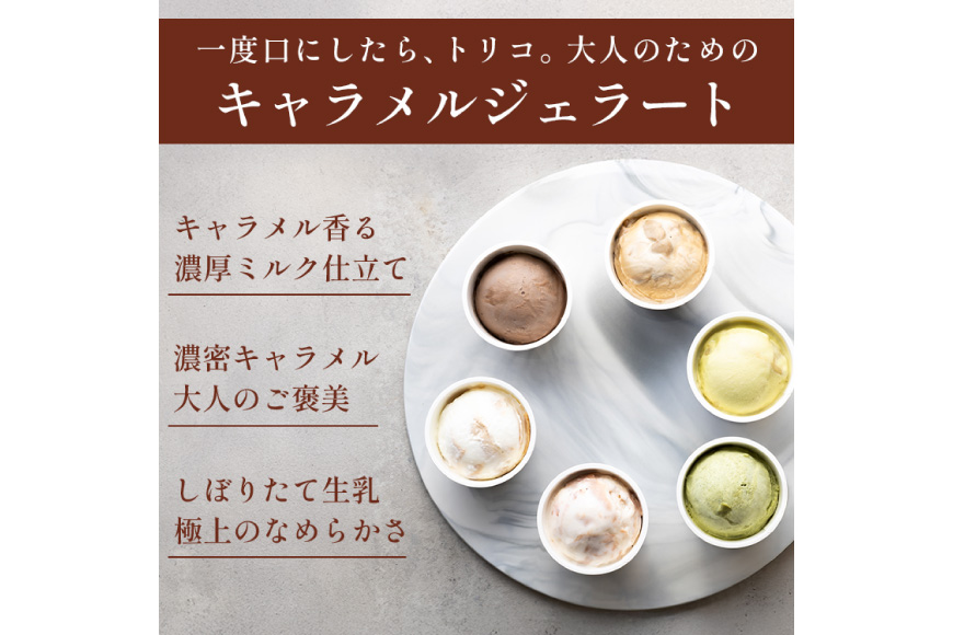 キャラメル ジェラート 6種 100ml×6個 [firando 長崎県 平戸市 hr42bjo520031] スイーツ キャラメルジェラート 塩キャラメル ピスタチオ あまおう モカ グリーンティー ショコラ お菓子 おやつ 贅沢