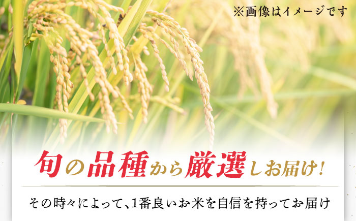 【全12回定期便】【着日指定 可能】【潮風で育った新鮮米】平戸の棚田米（無洗米）約5kg 平戸市 / ひらど新鮮市場 [KAB239]