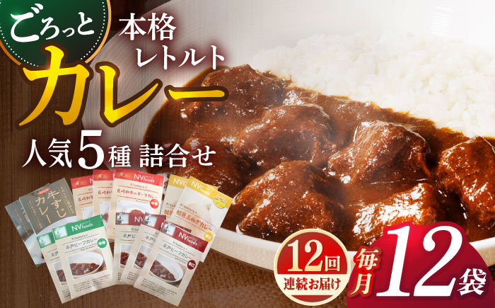 【全12回定期便】【カレー好きのためのアソートセット】カレー工房NVfoodsのカレー5種（12袋）詰め合わせセット [KAB290]