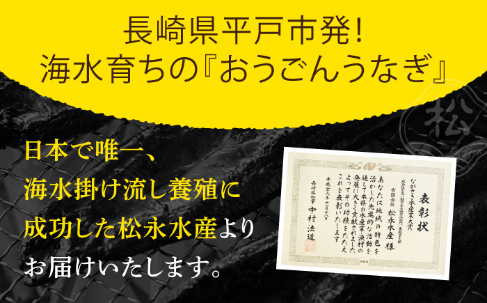 【全12回定期便】【着日指定 可能】【日本初！海水で養殖】長崎県産おうごん うなぎ 松セット 約1kg（6尾〜8尾） 平戸市 / 松永水産 うなぎ 鰻 ウナギ 土用丑の日 九州産 蒲焼 かばやき [KAB287]