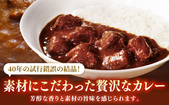 【全12回定期便】【着日指定 可能】【40年の試行錯誤の結晶】平戸ビーフカレー10食セット（辛口） 平戸市 / カレー工房 NVfoods [KAB254]