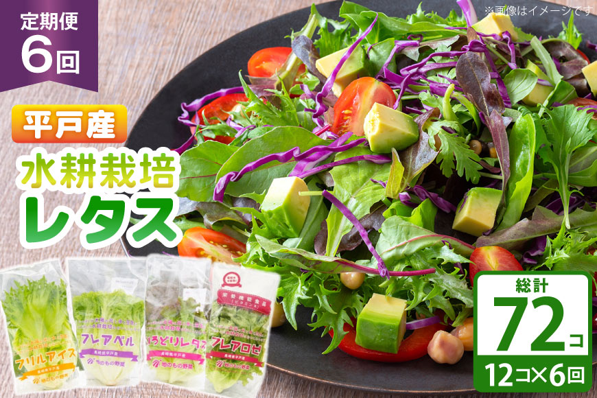 レタス 水耕栽培 4種 12袋 セット 6回 定期便 総計72袋 食べ比べ 詰め合わせ [モロフジファーム 長崎県 平戸市 hr42bgy420230] サラダ 産地直送 個包装 小分け 野菜 フレッシュ 健康志向 緑黄色野菜
