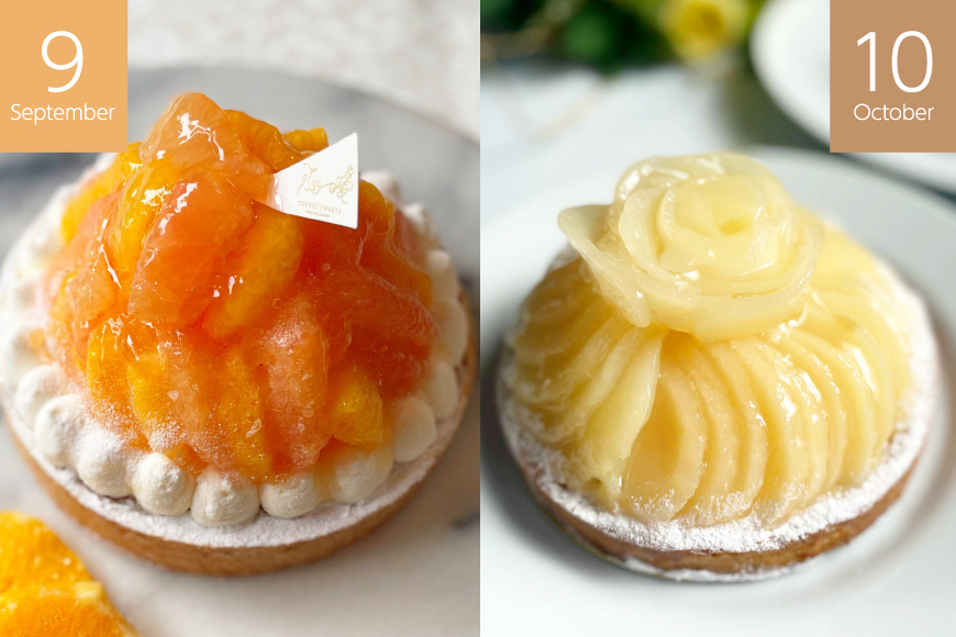 ケーキ タルト 1ホール 12cm 12種 食べ比べ 各回1ホール 3回 定期便 総計3ホール [心優-Cotoyu sweets- 長崎県 平戸市 hr42bjo490222] スイーツ フルーツ いちご 桃 マンゴー ベリー チェリー 夏香 パイナップル オレンジ モンブラン ティラミス チョコ ホールケーキ